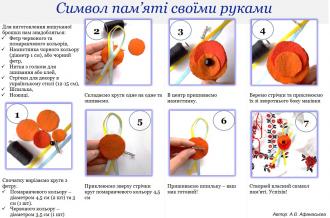 /Files/images/МАК из фетра.jpg